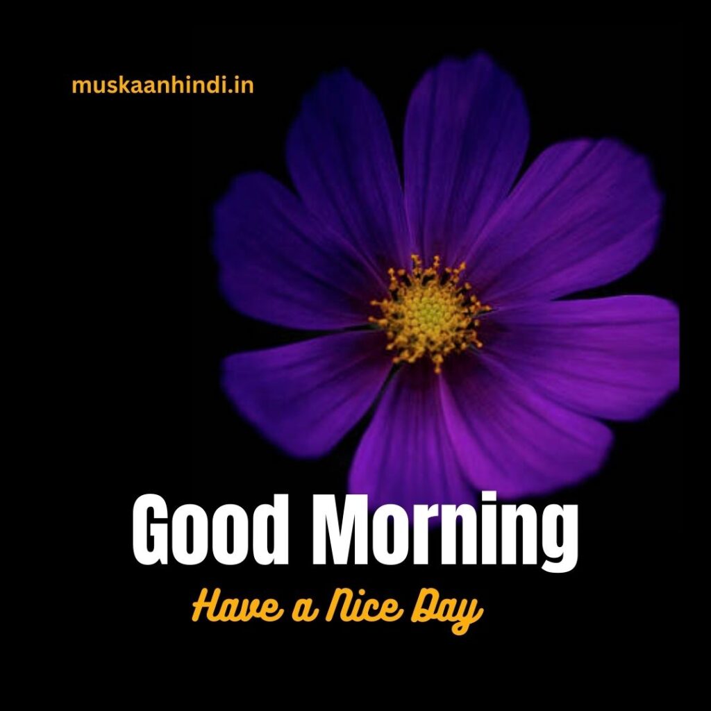 Good Morning Images - muskaanhindi.in
